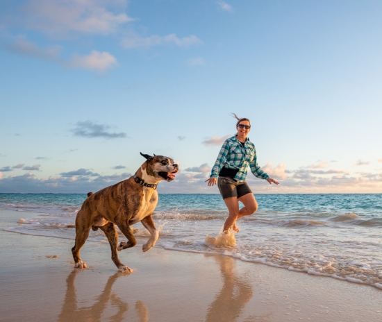 Best Beach Hotels in San Diego | Diamond Head Inn